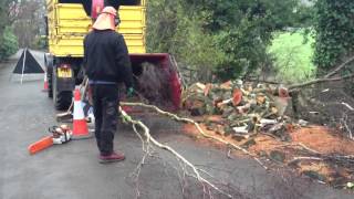 Tree Felling Wigton
