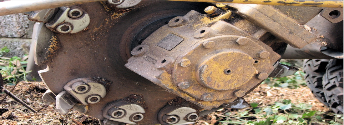 Tree Stump Removal Aspatria