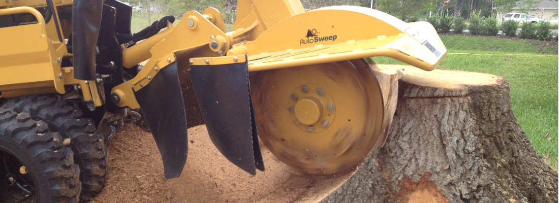 Tree Surgeon Keswick