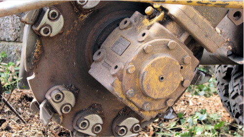 Tree Trimming Silloth